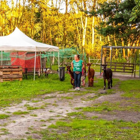Glamping Z Alpakami Jankowice (Chrzanow) Exterior foto
