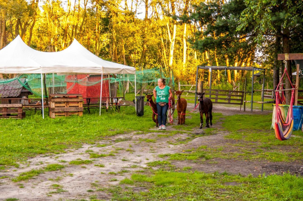 Glamping Z Alpakami Jankowice (Chrzanow) Exterior foto